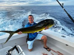 Charleston Fishing: Mahi-Mahi Magic Moments!